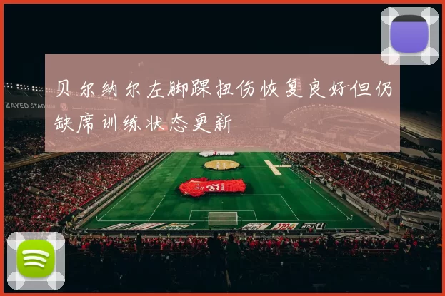 贝尔纳尔左脚踝扭伤恢复良好但仍缺席训练状态更新